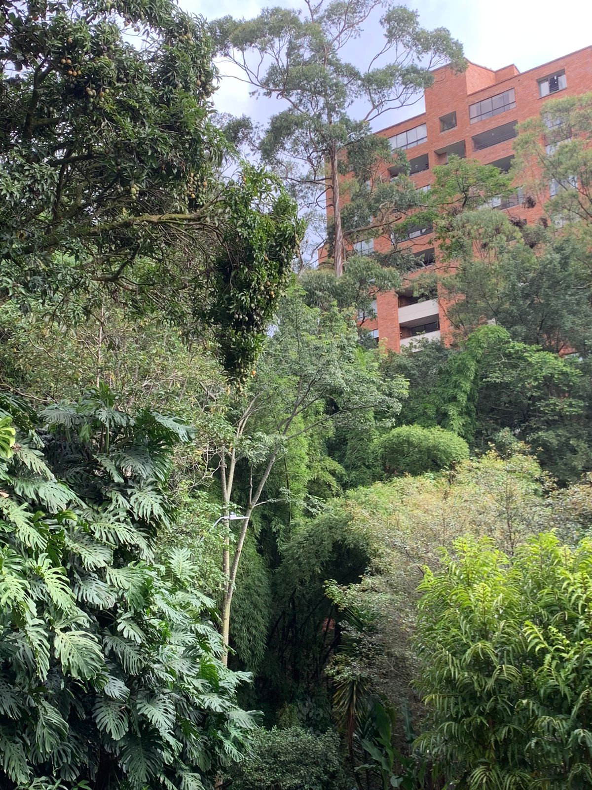 Miniatura 13