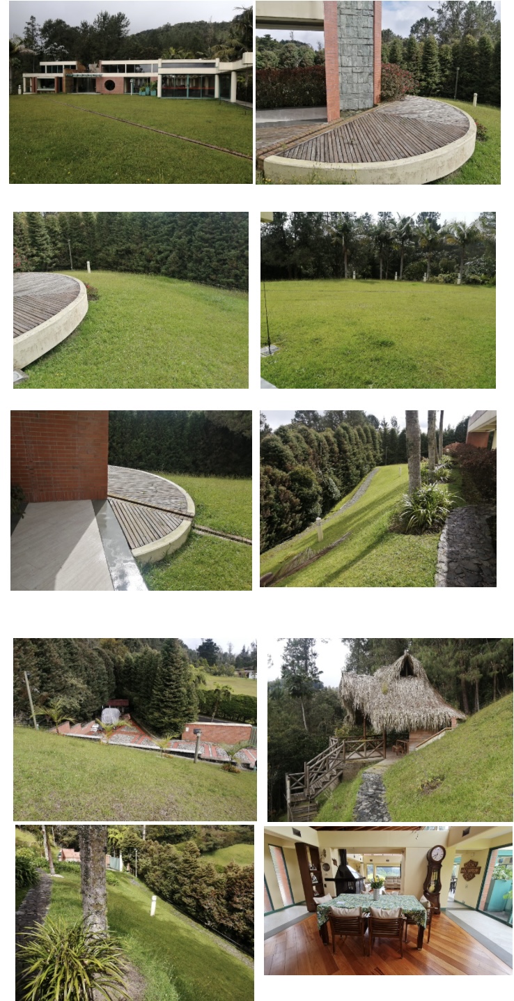 Miniatura 14