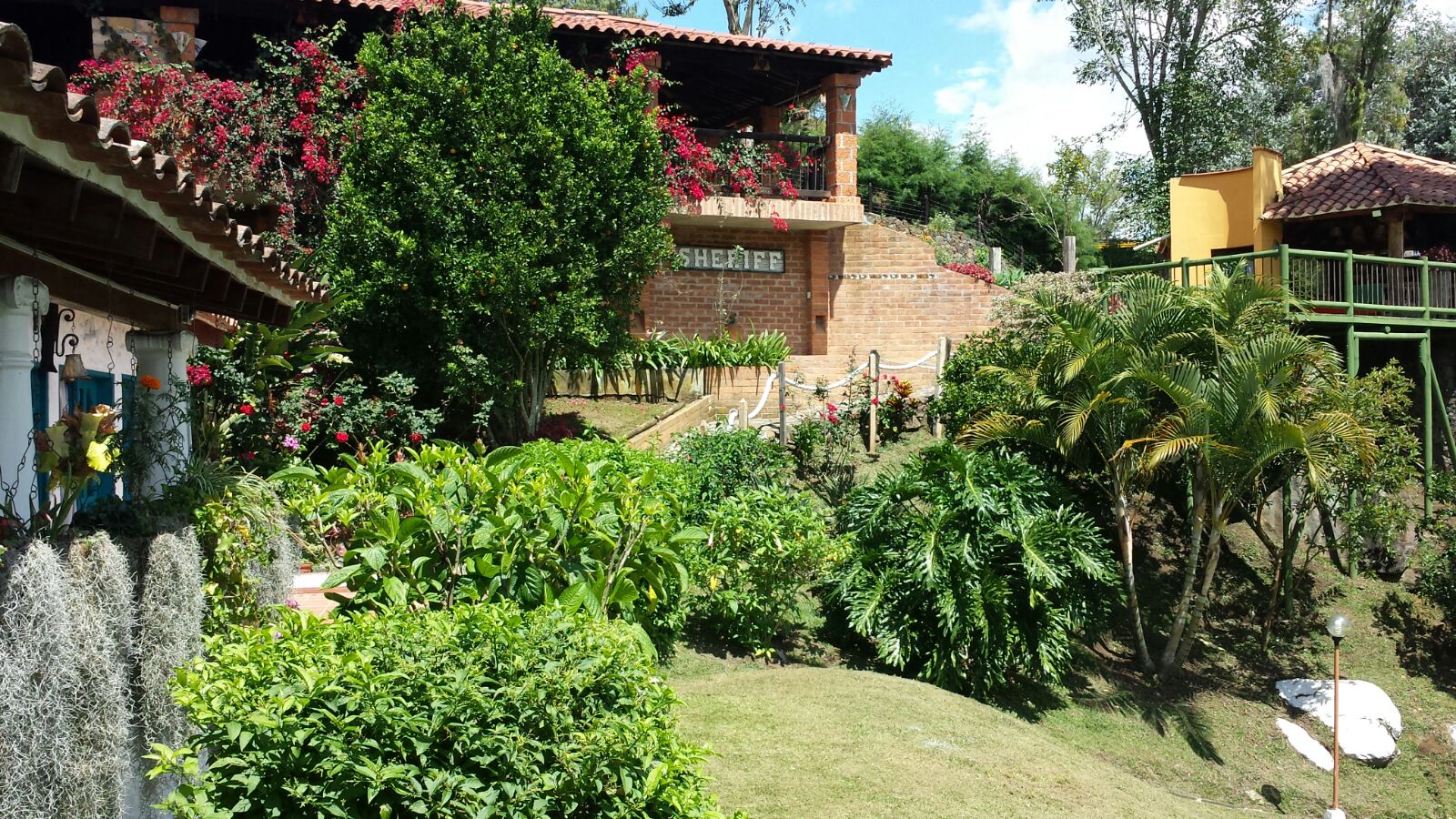Miniatura 14