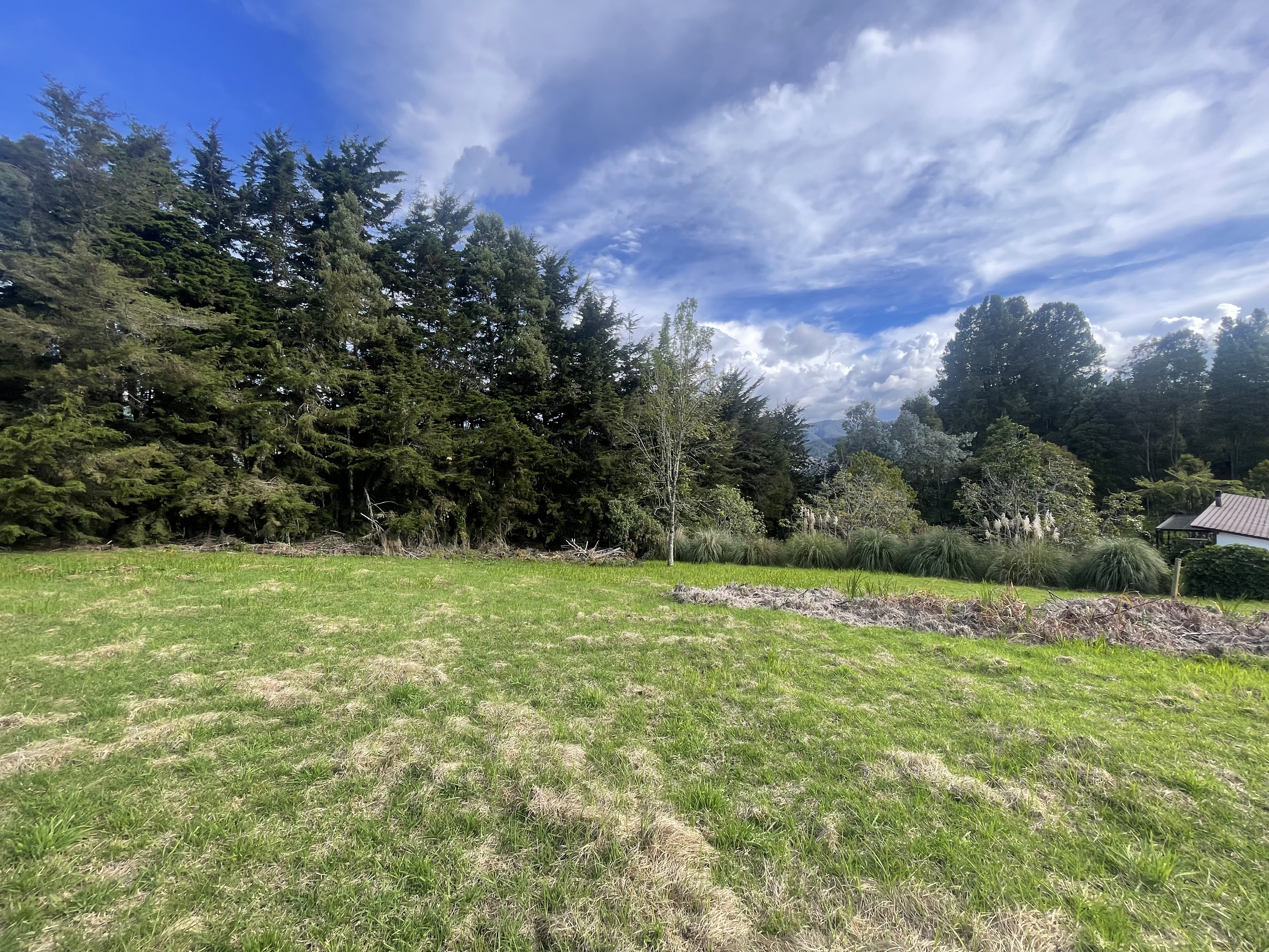 Miniatura 14