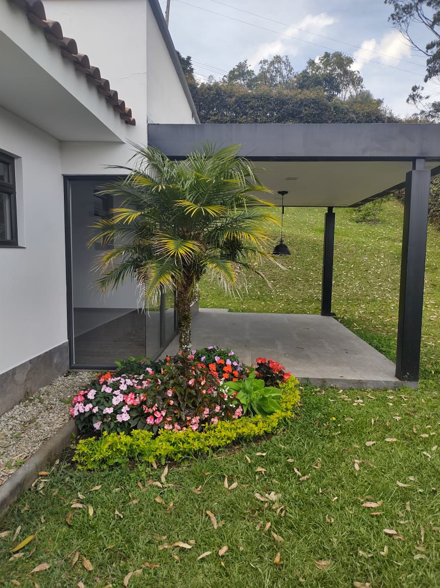 Miniatura 19