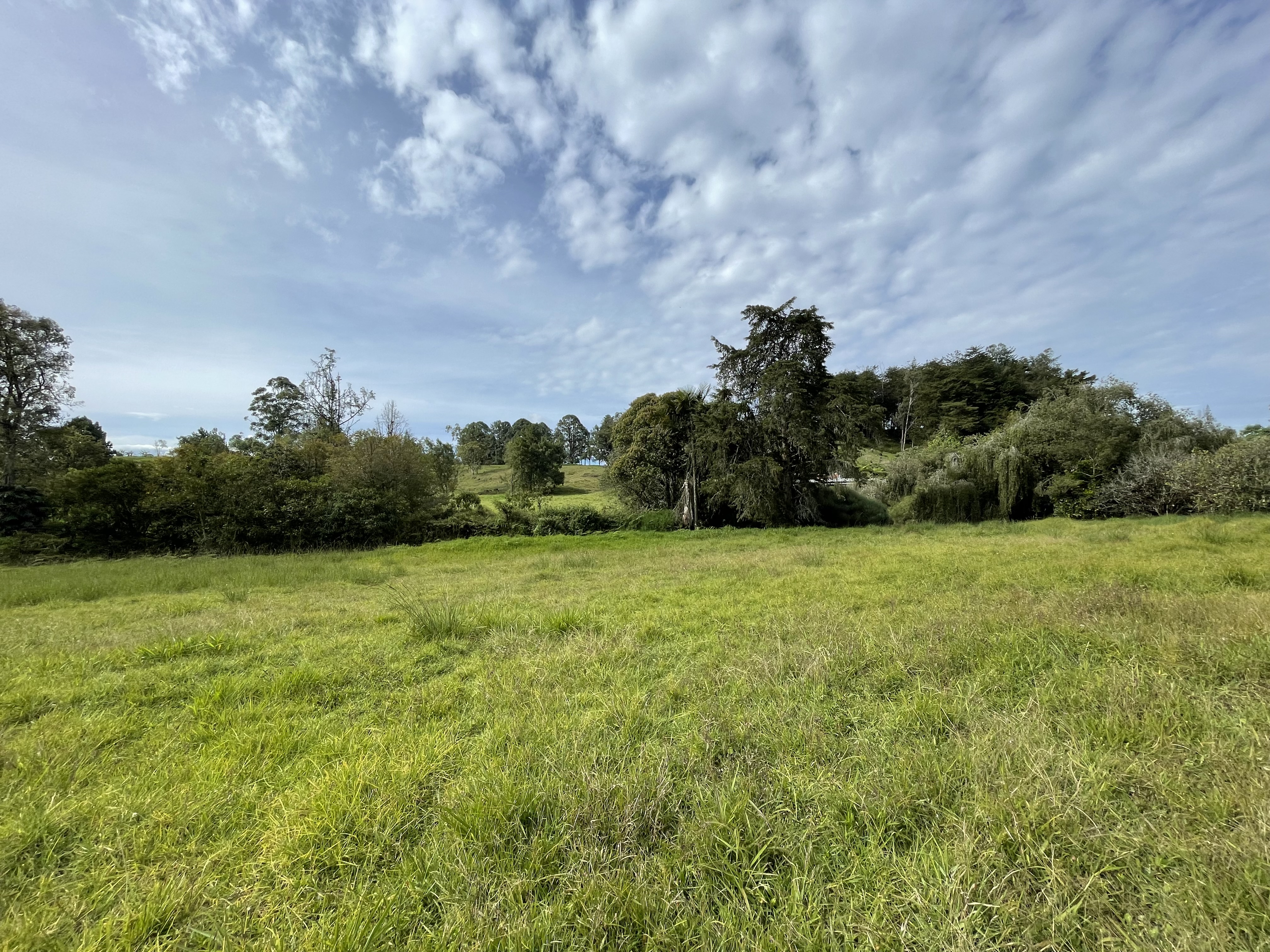 Miniatura 14
