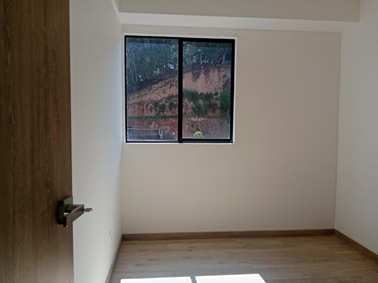 Miniatura 19