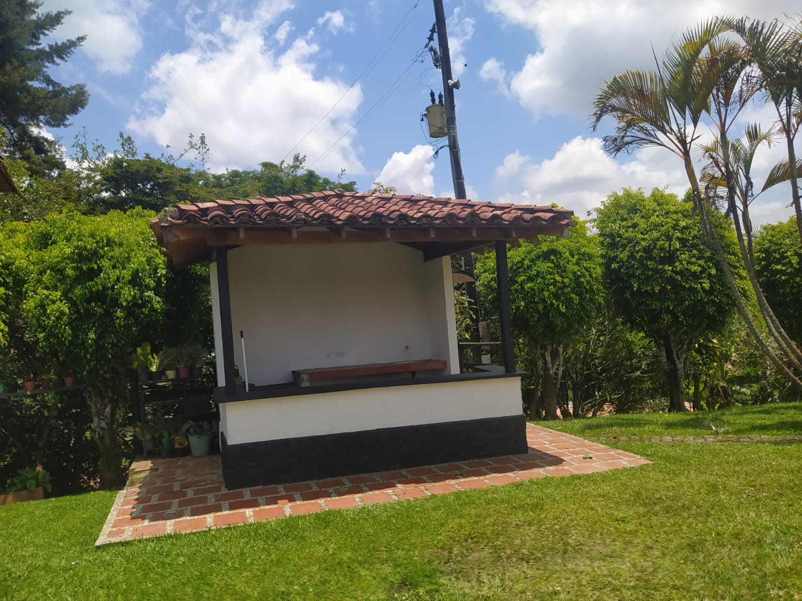 Miniatura 24