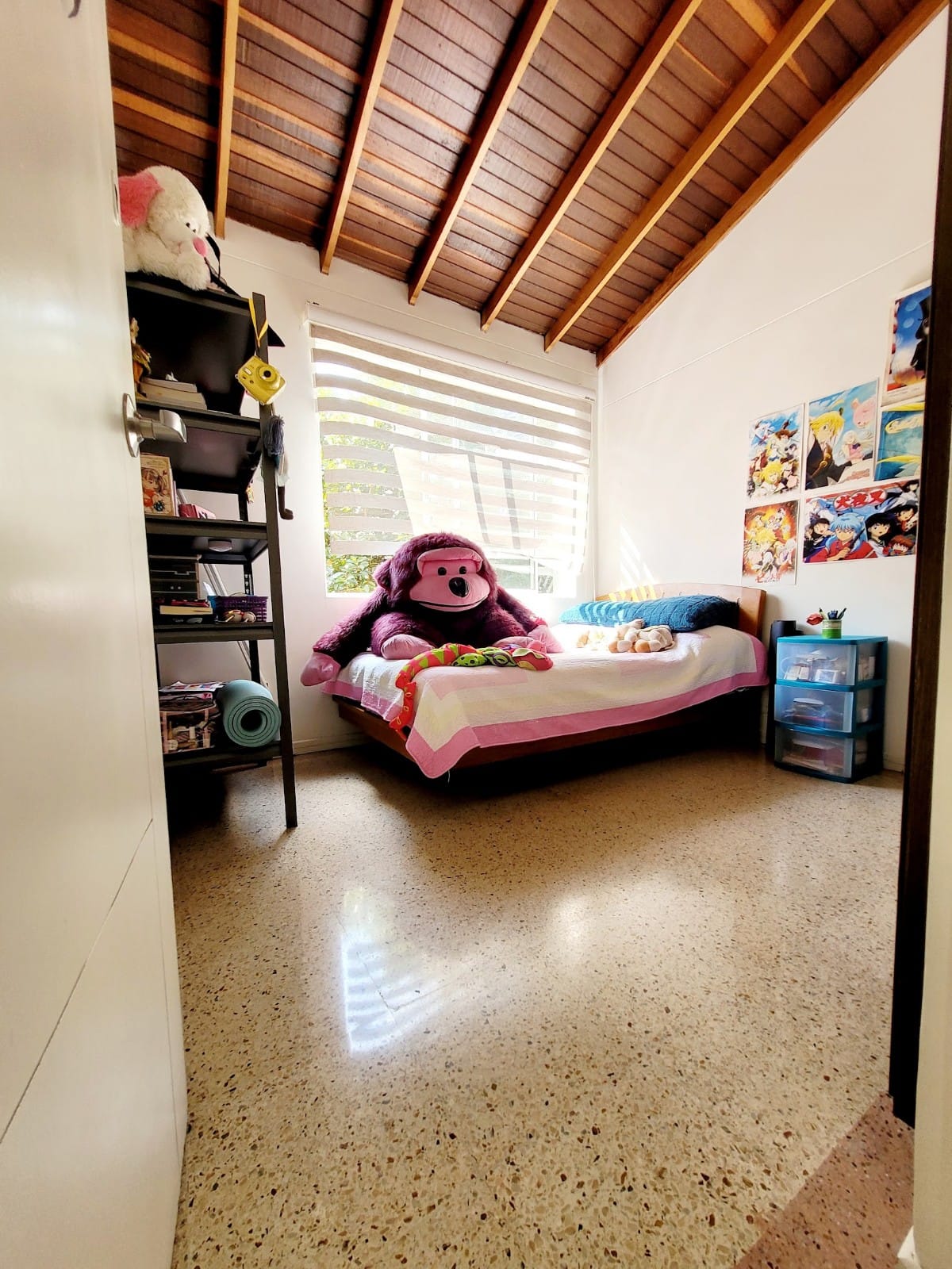 Miniatura 10