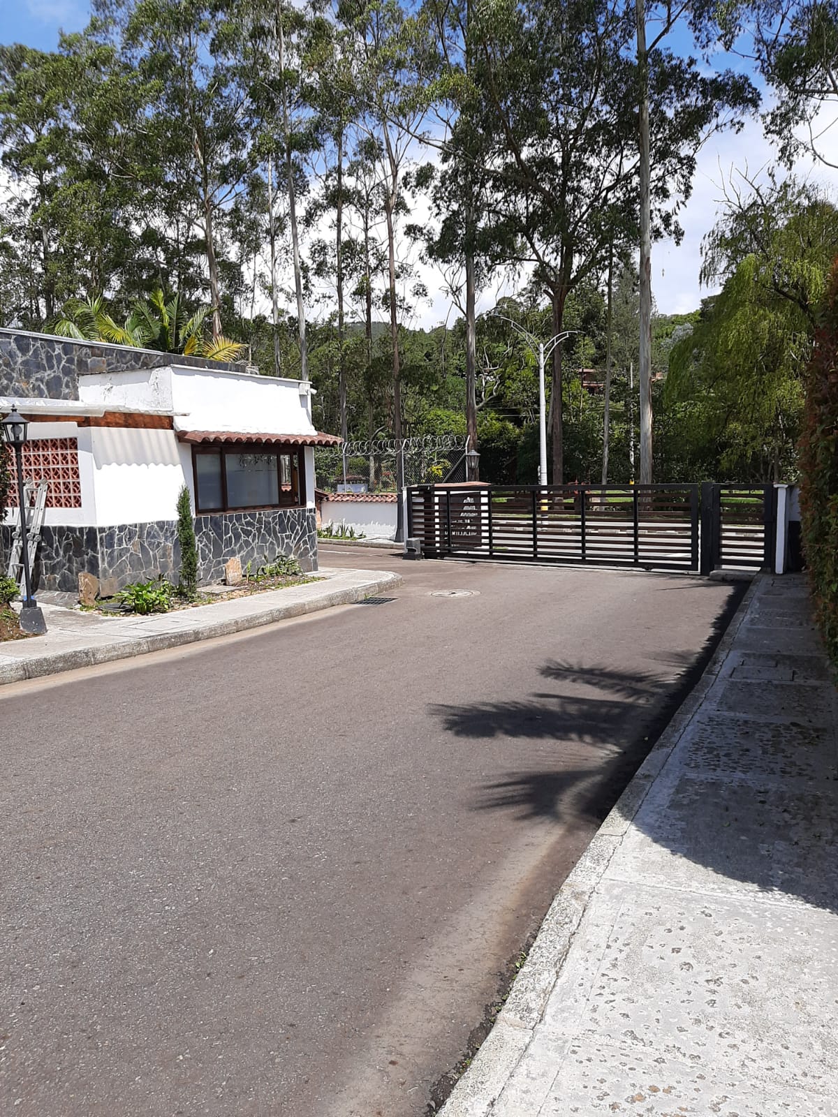 Miniatura 22