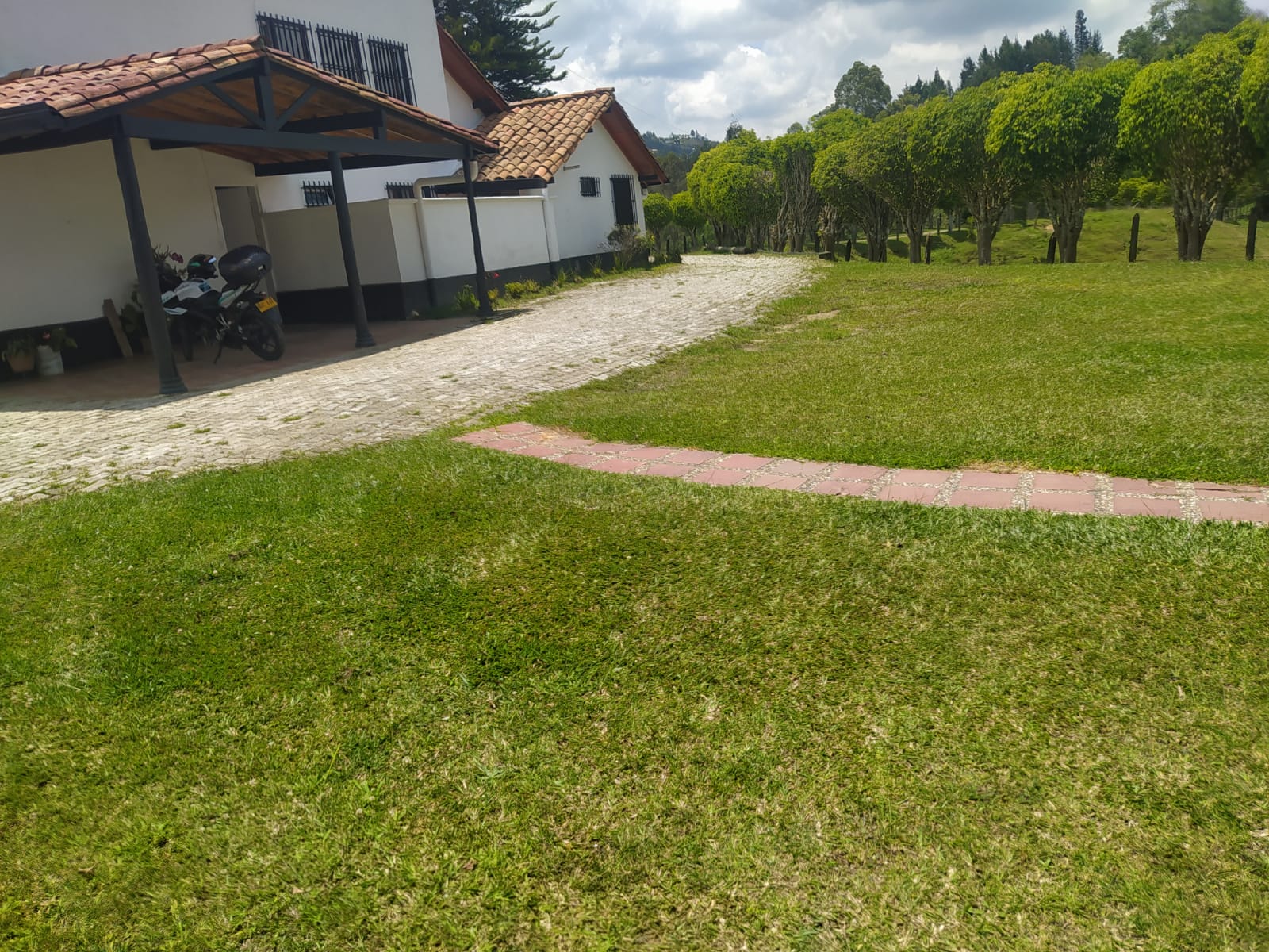 Miniatura 19