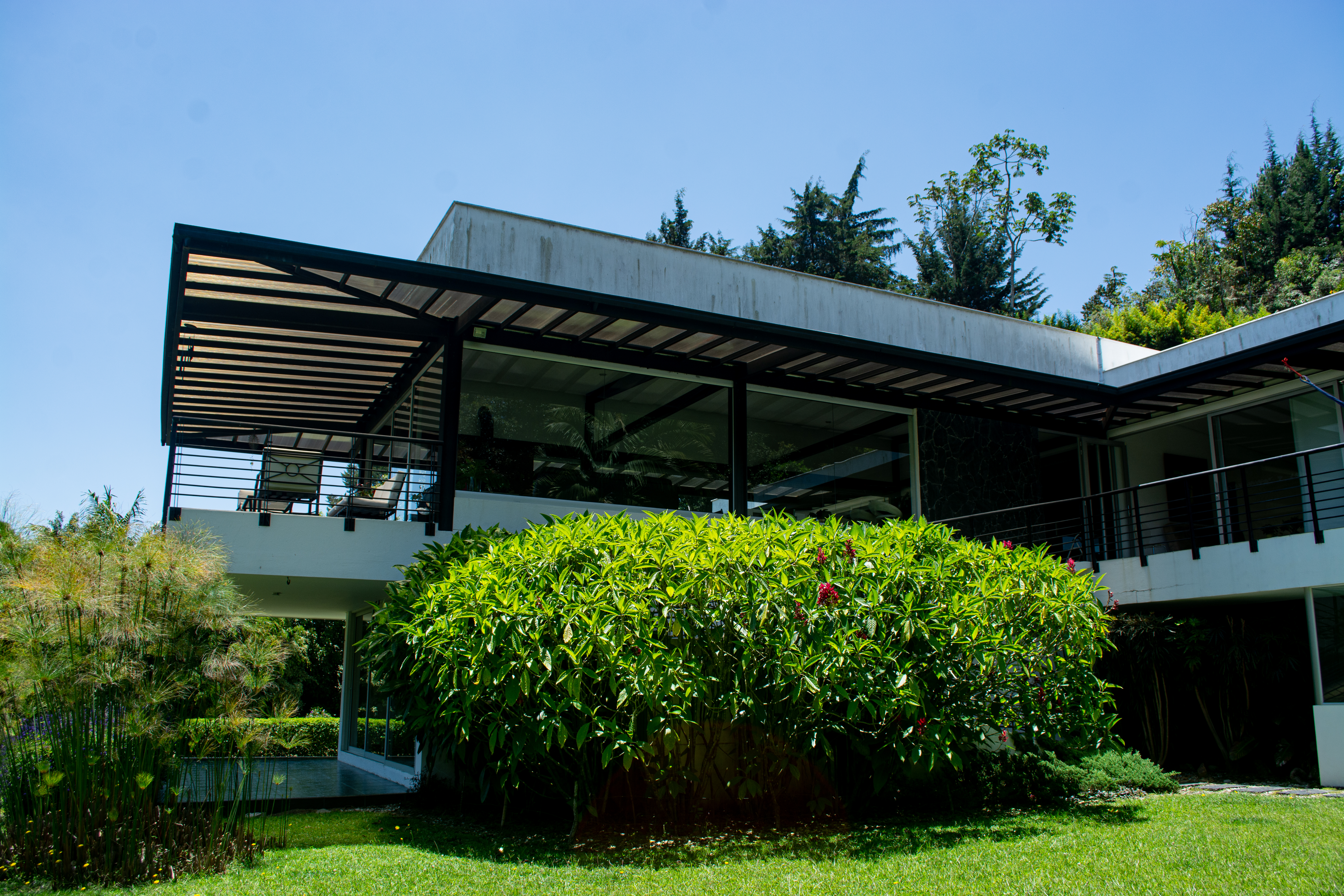 Miniatura 24