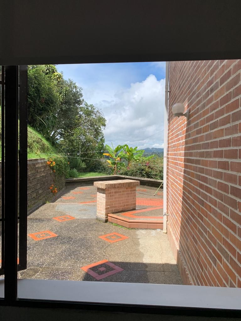 Miniatura 25