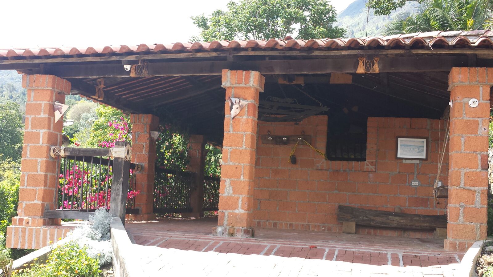Miniatura 23