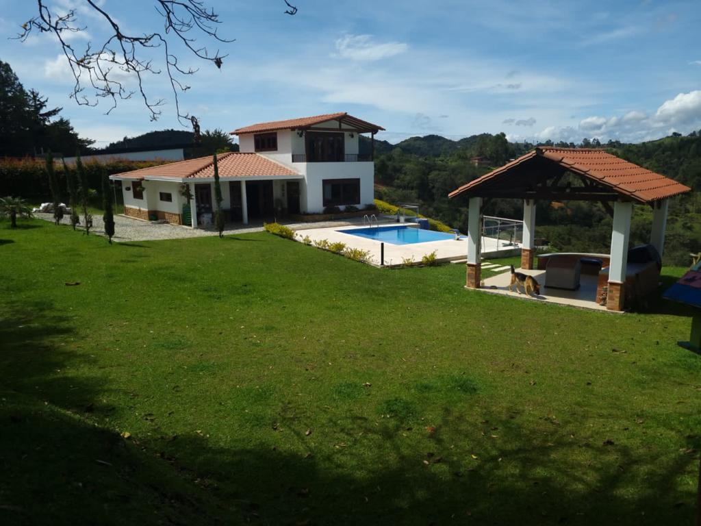 Miniatura 6