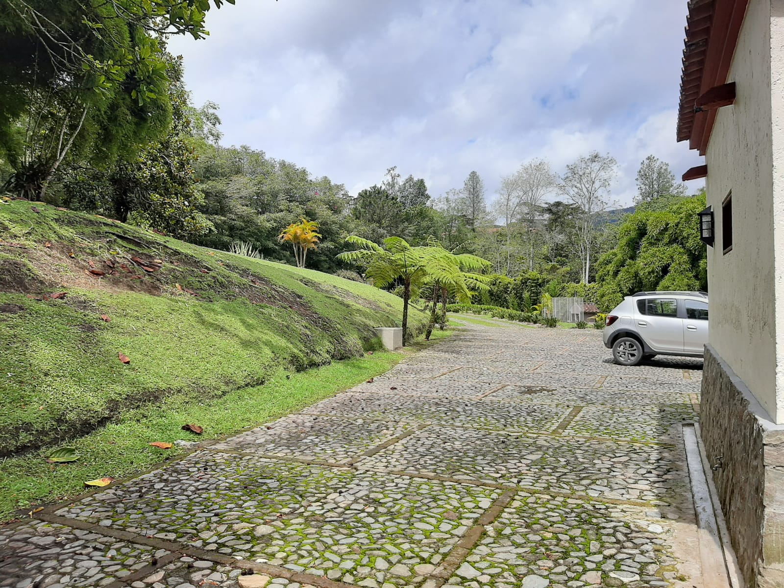 Miniatura 17