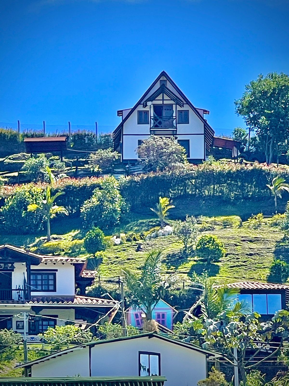 Miniatura 49