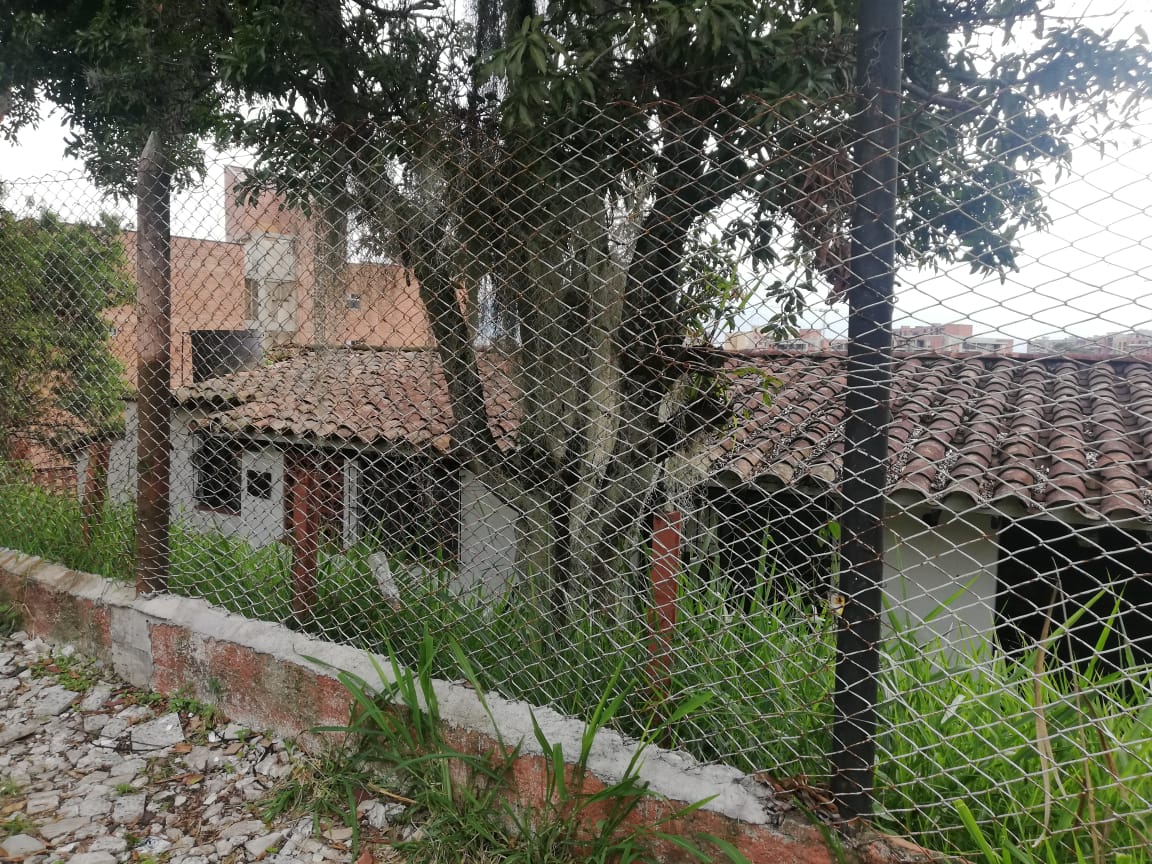 Miniatura 11