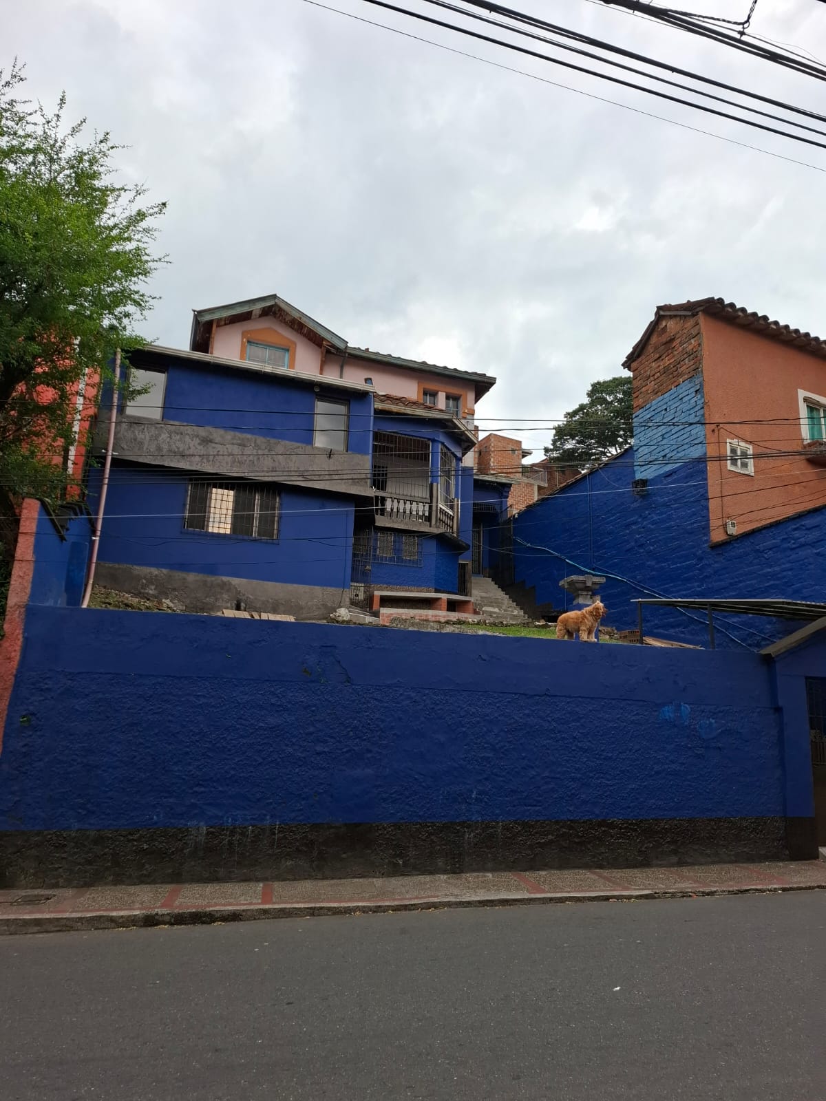 Imagen principal
