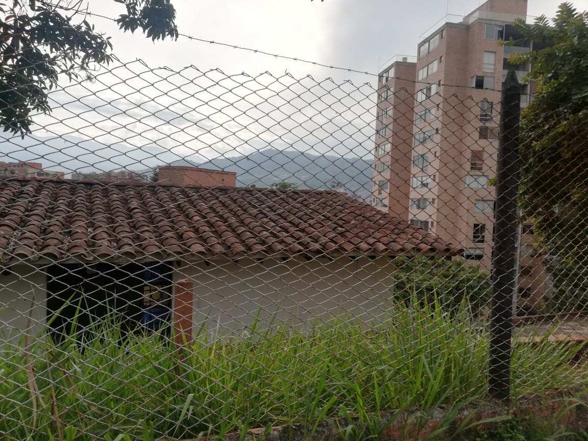 Miniatura 13