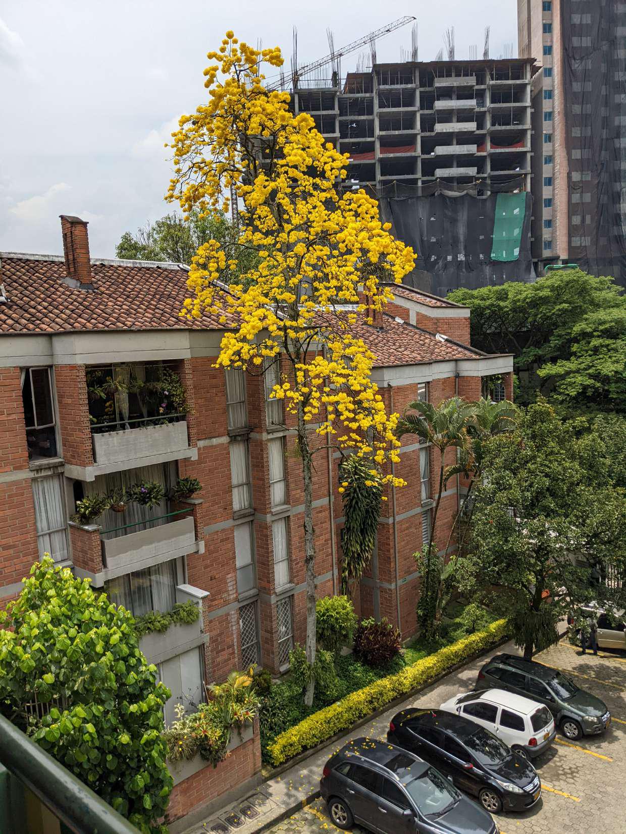 Imagen principal