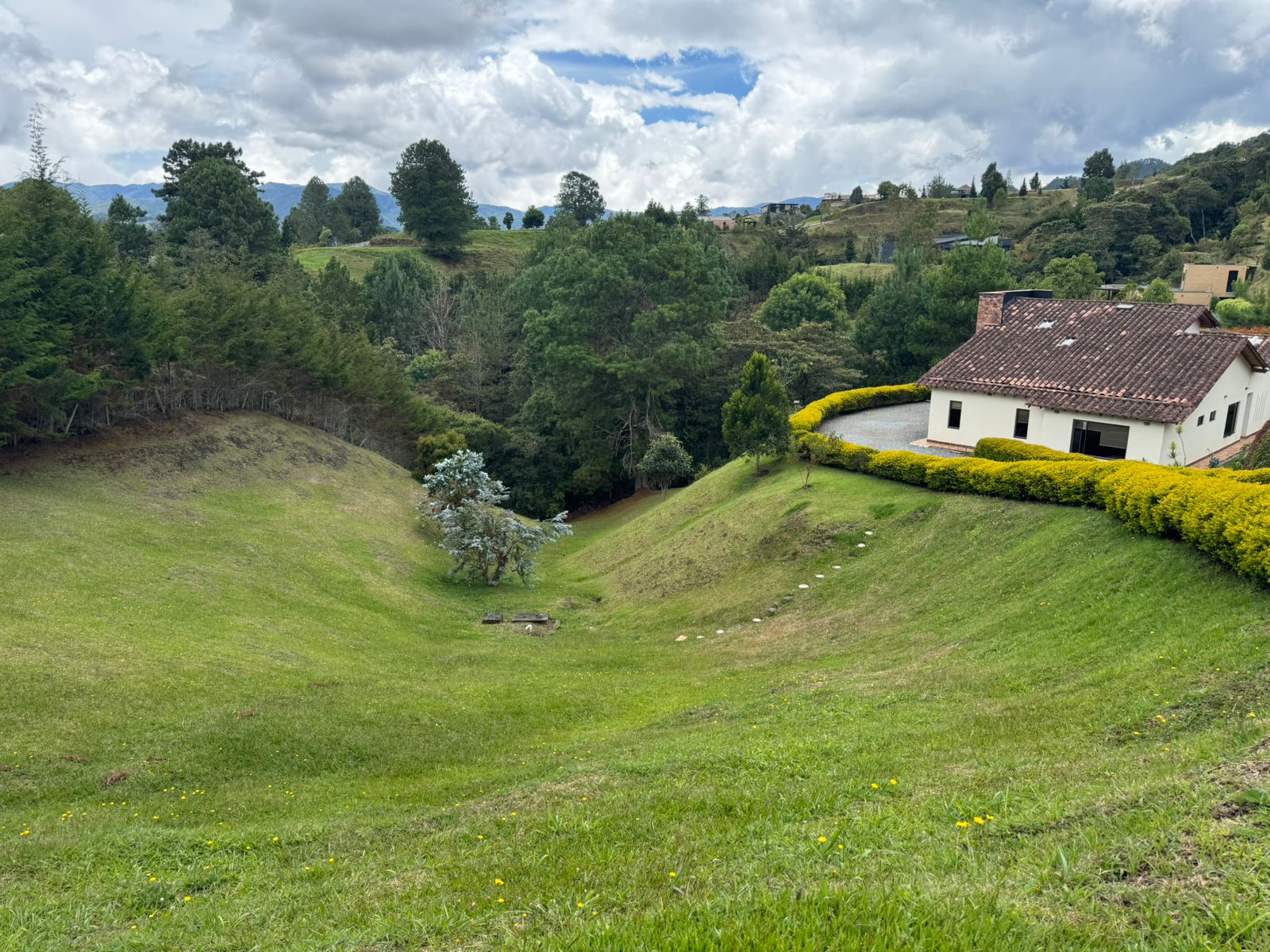 Miniatura 39