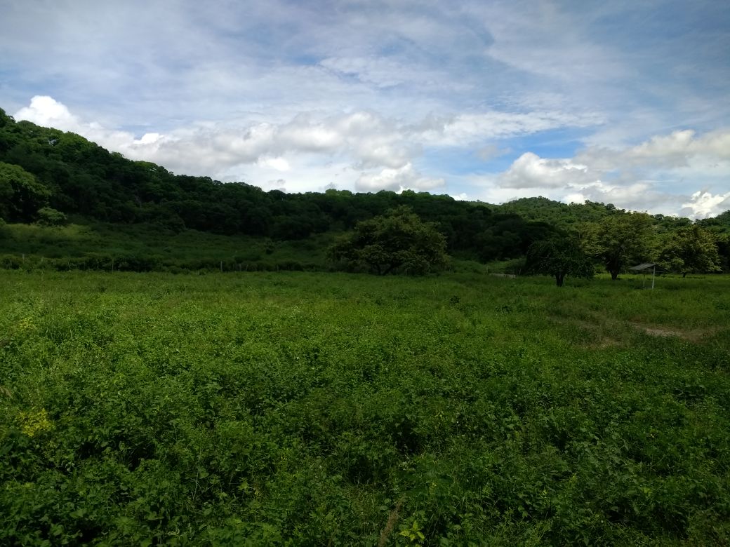 Finca en venta en el Tolima