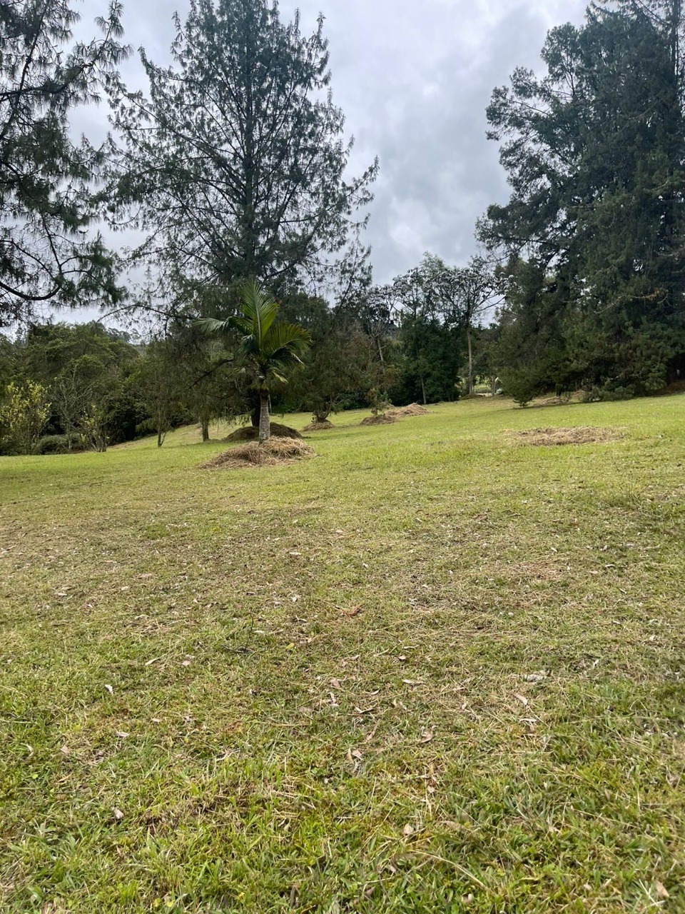 Lote en venta avenida las palmas K2 Envigado Medellín Antioquia