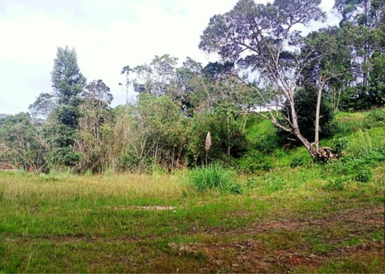 Lote para la venta en Envigado Altos del Escobero