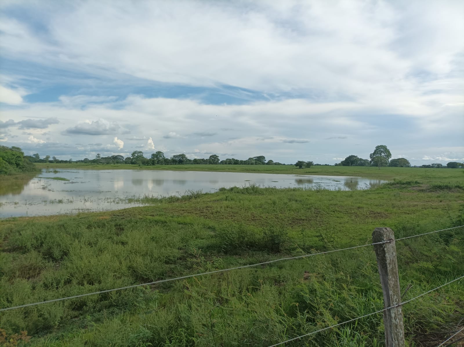 Venta de finca ganadera en Cordoba Ayapel