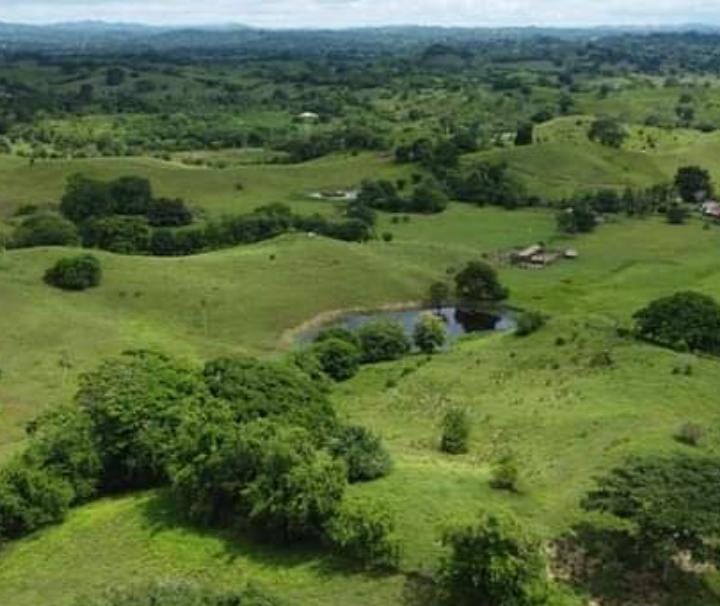 Finca en venta en Córdoba cerca de Montería