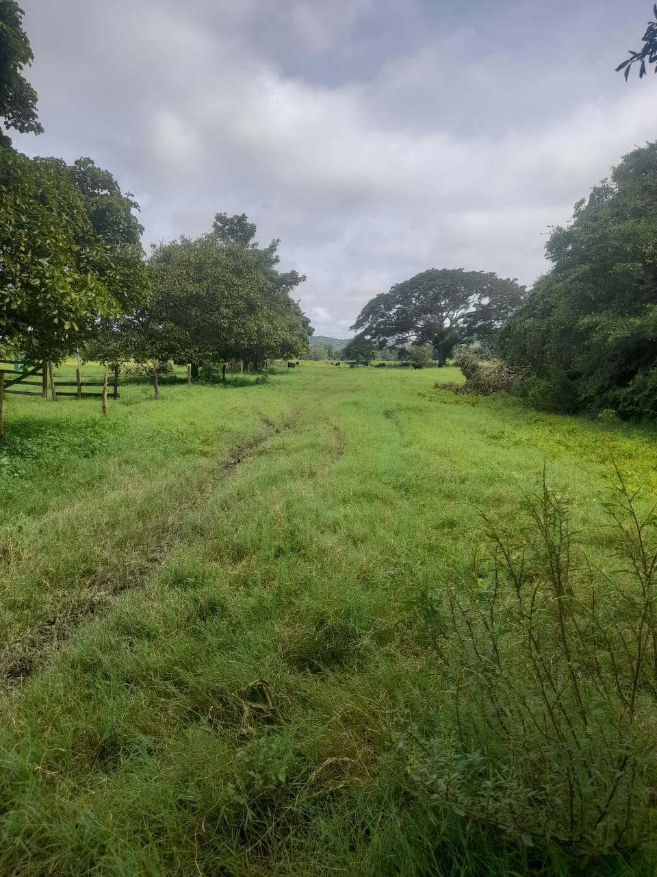 Finca en venta en Córdoba cerca de Montería