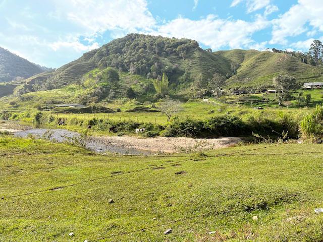 Finca Agropecuaria en Venta en Santo Domingo Antioquia