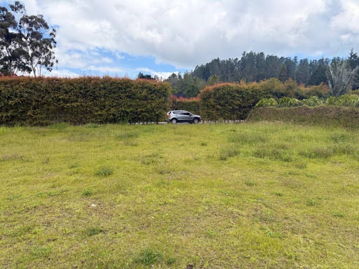 Lote en venta en las Palmas Medellin