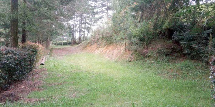 Lote en venta en las Palmas Medellin