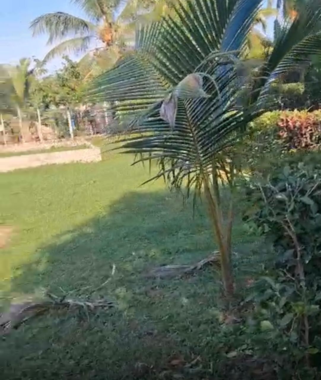 Venta de Lote en San Bernardo del Viento Córdoba