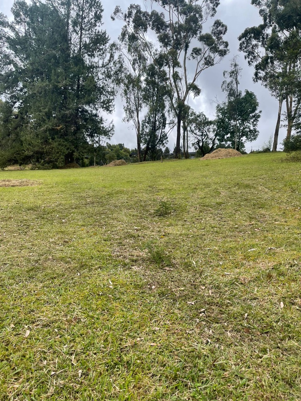 Lote en venta avenida las palmas K2 Envigado Medellín Antioquia