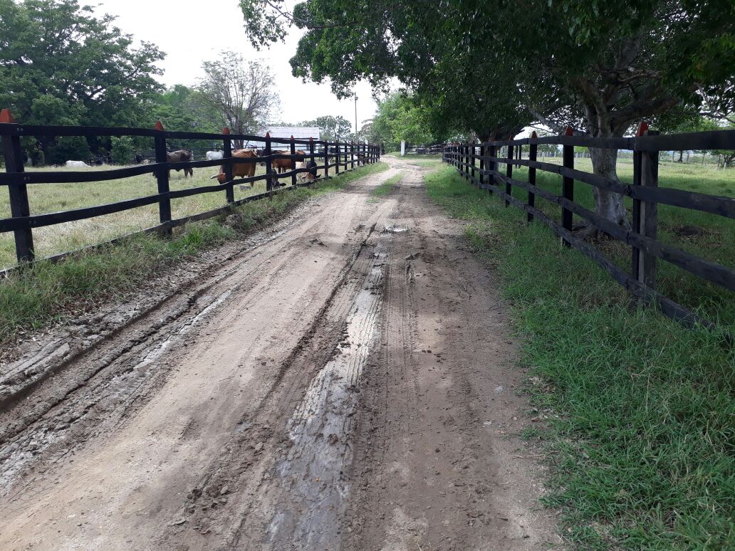 Finca en venta en Saldaña  Tolima