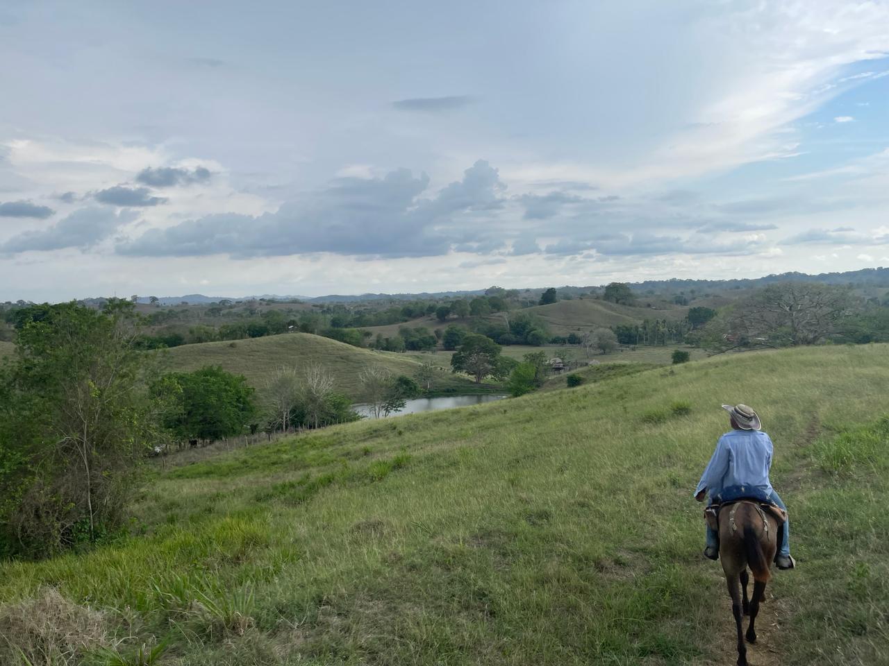 Finca en venta en Córdoba cerca de Montería