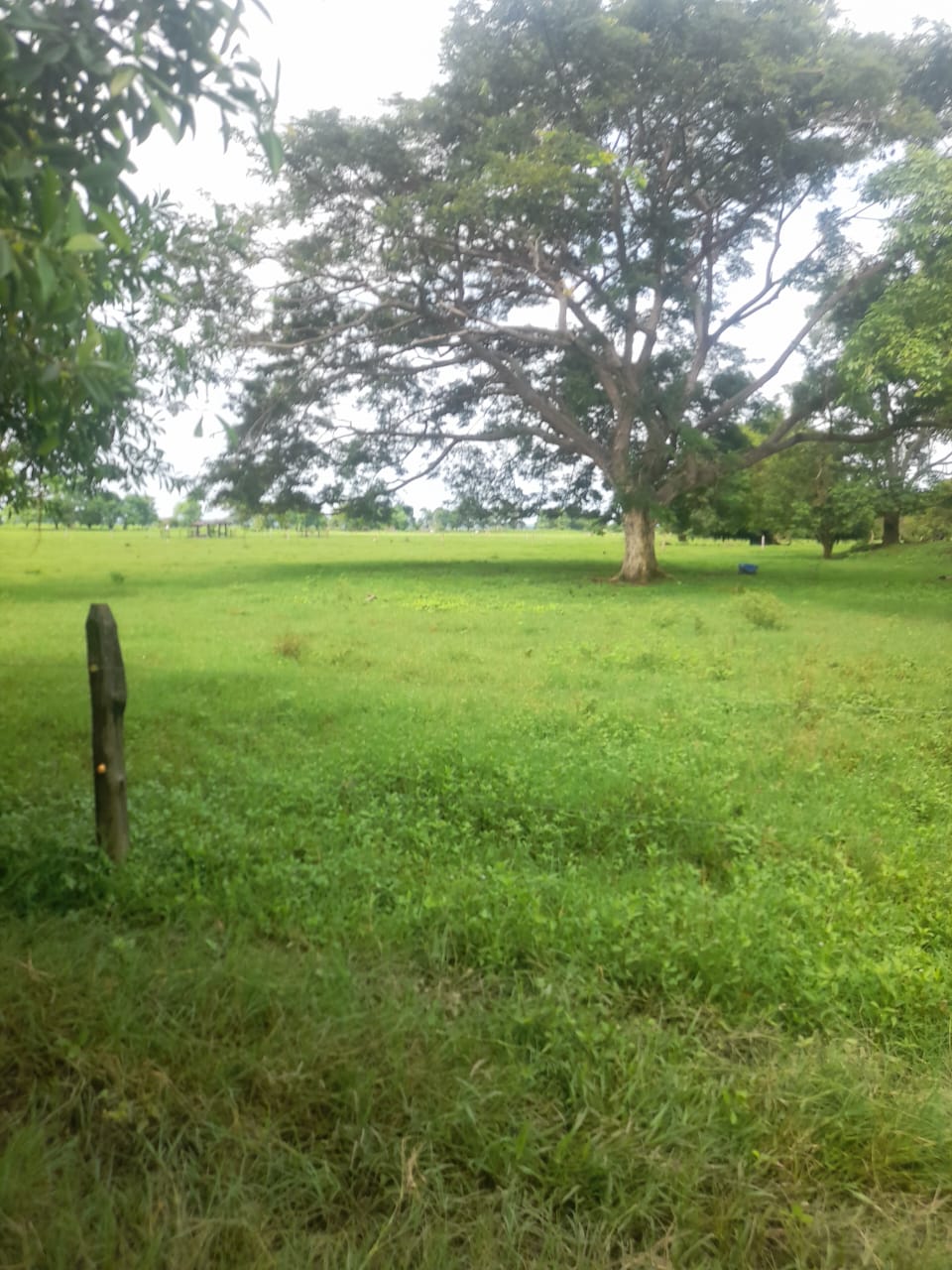 Finca en venta en Córdoba cerca de Montería