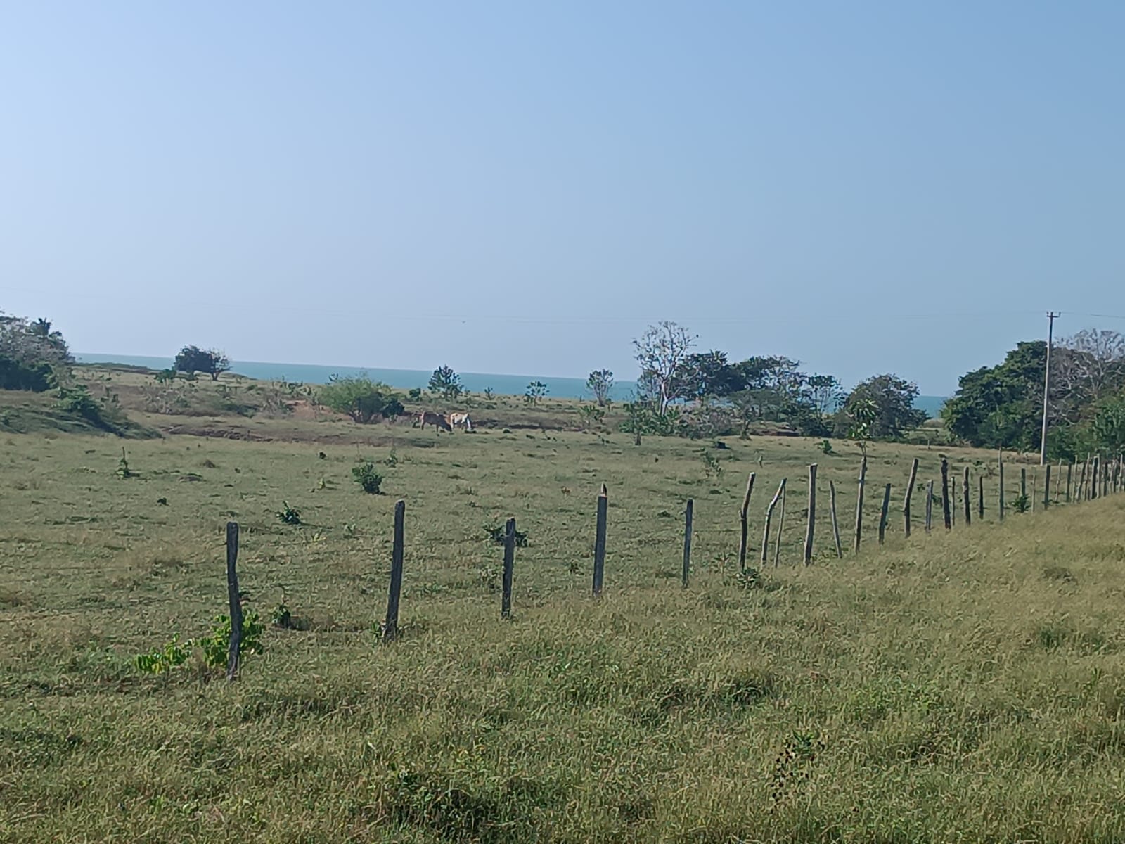 Finca en venta en Puerto Escondido Cordoba