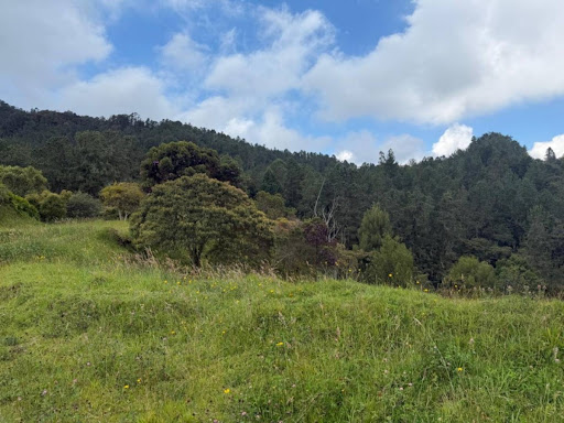 Lote en venta en las Palmas Medellin