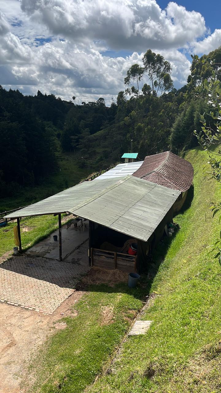 Venta de Finca en Rionegro Antioquia cerca al Aeropuerto