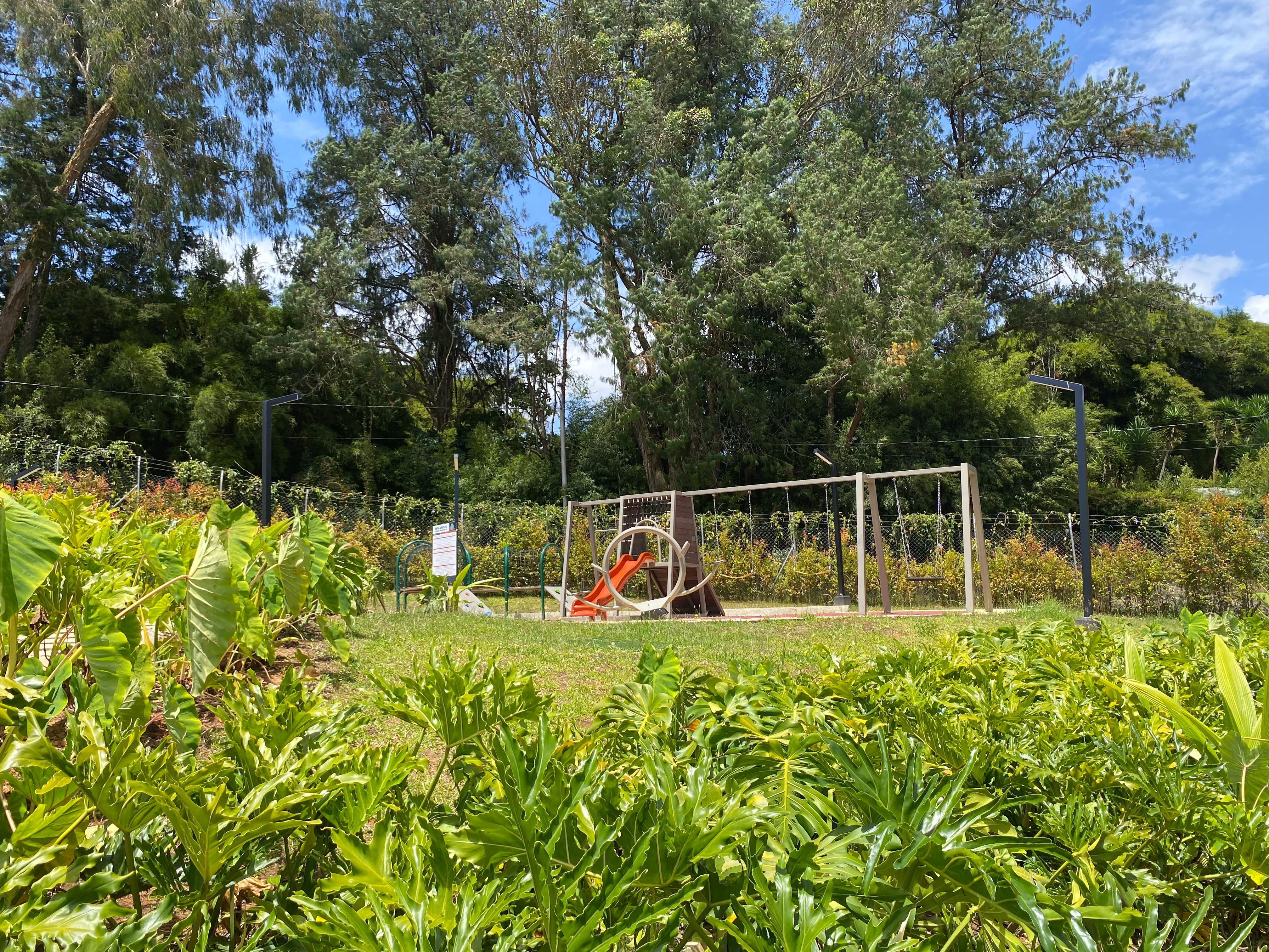 Venta de apartamento en Rionegro Sajonia