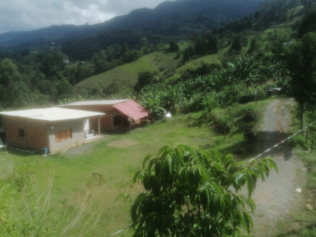 Lote