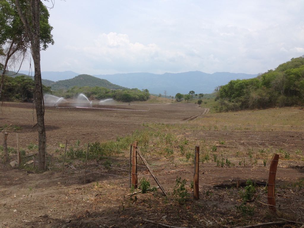 Finca en venta en el Tolima