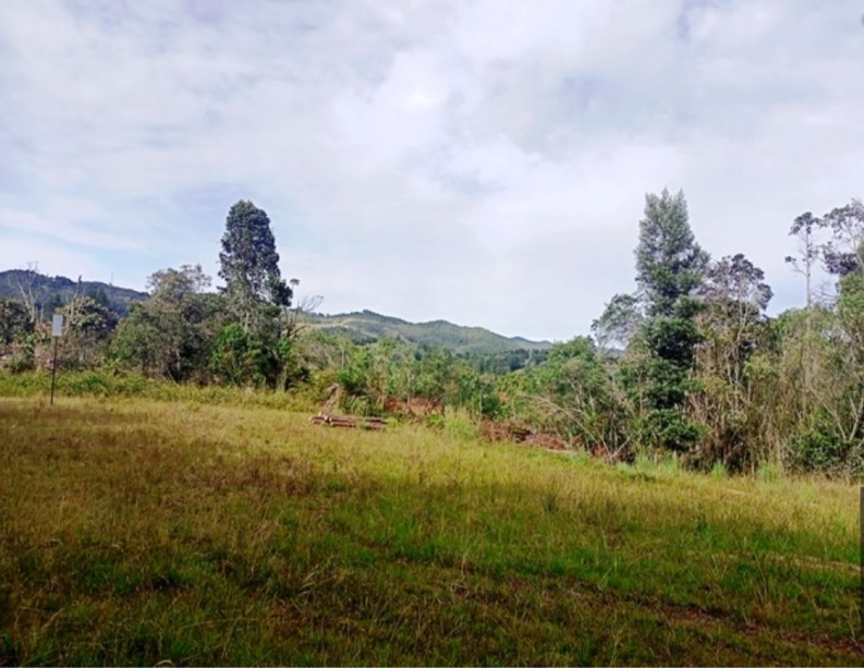 Lote para la venta en Envigado Altos del Escobero