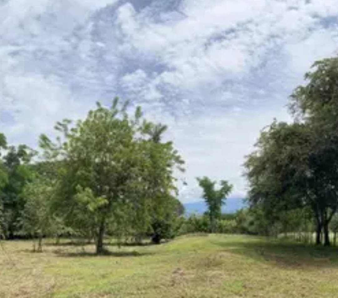 Lote Urbano en Venta en  La Espiga Yolombo Antioquia