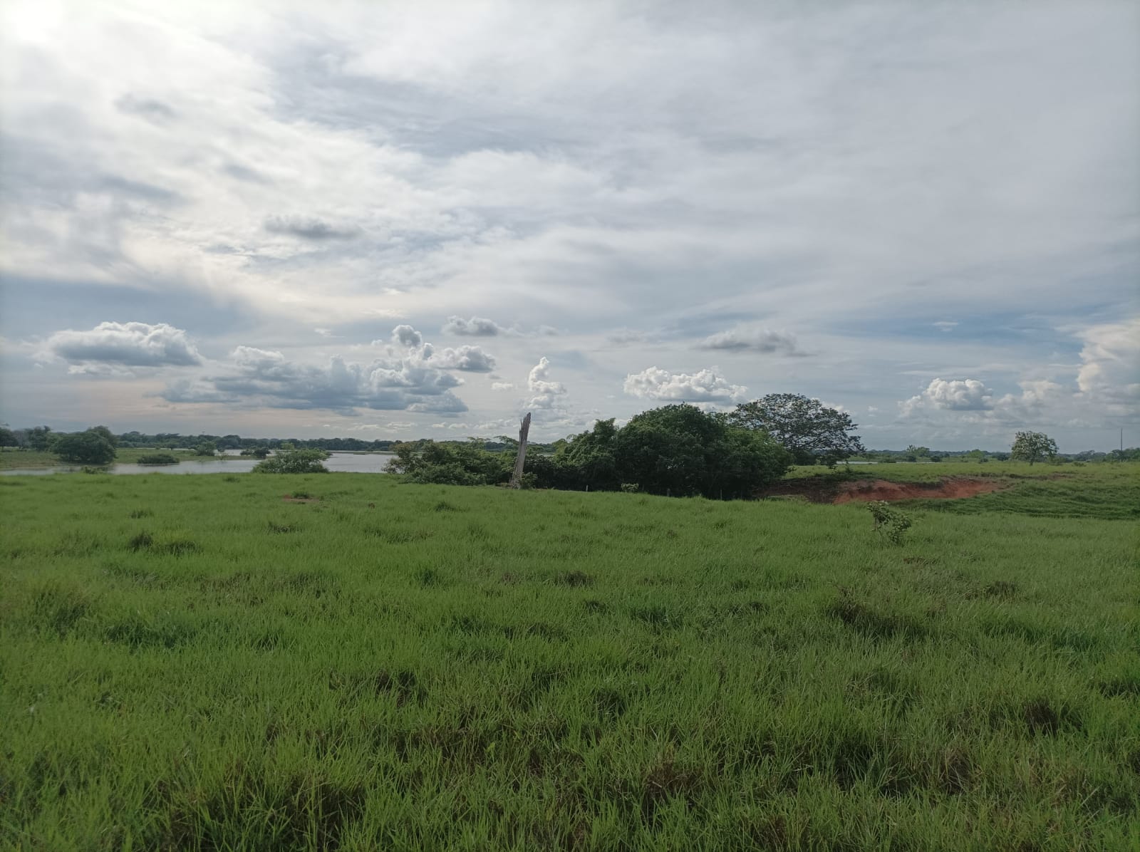 Venta de finca ganadera en Cordoba Ayapel