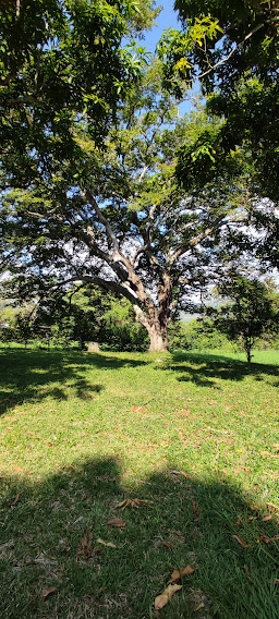 Venta de lote en Sopetran