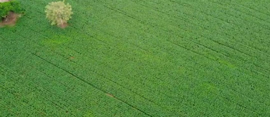 VENTA DE FINCA EN MOMIL CORDOBA MONTERIA