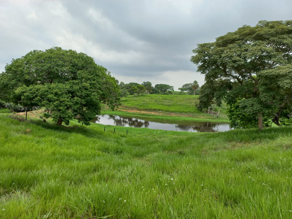 Finca en Venta en San Onofre Sucre