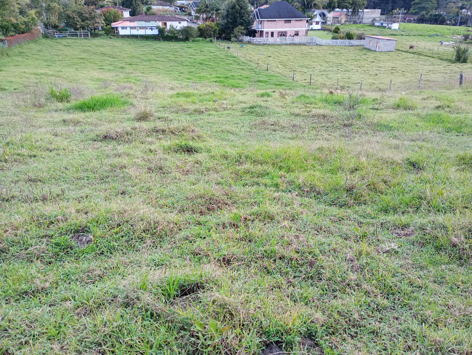 Lote en venta en Vereda Guamito - Carmen de Viboral
