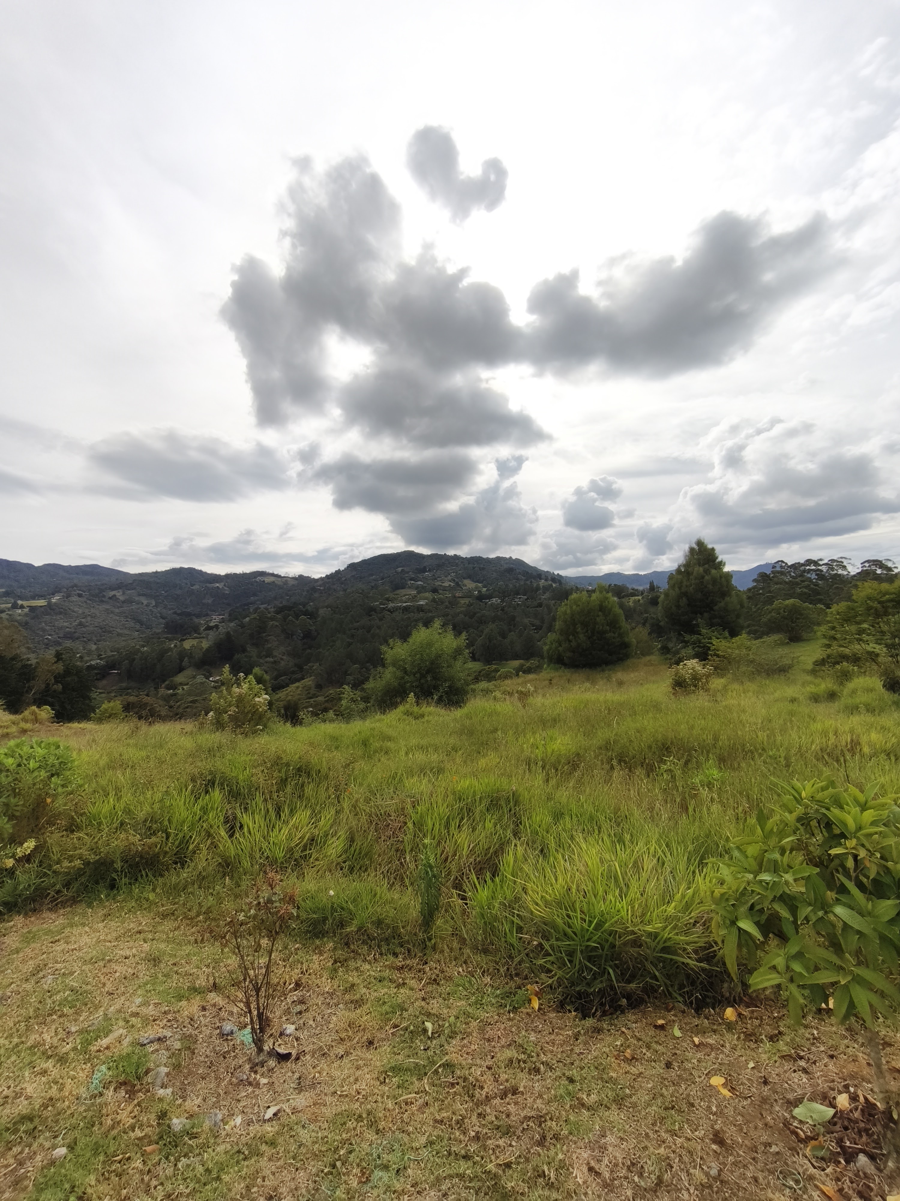 Venta de lote en Rionegro El Tablazo